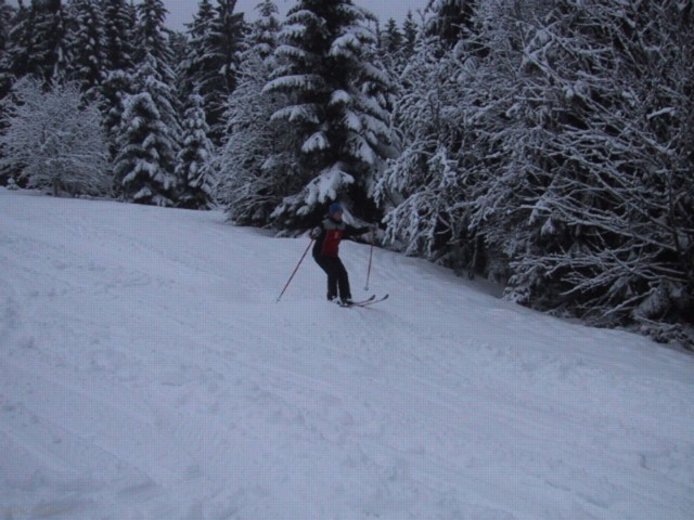 IMG_0662.JPG