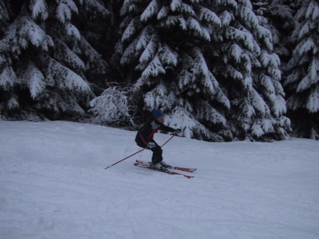 IMG_0665.JPG