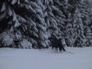 IMG_0389.JPG