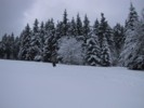 IMG_0448.JPG