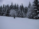 IMG_0450.JPG