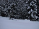 IMG_0454.JPG