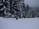 IMG_0456.JPG
