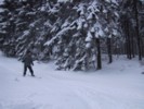 IMG_0474.JPG
