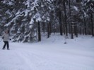 IMG_0478.JPG