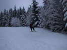 IMG_0499.JPG