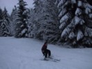 IMG_0500.JPG