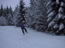IMG_0508.JPG