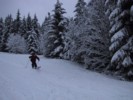 IMG_0527.JPG