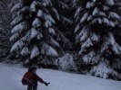 IMG_0529.JPG