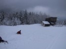 IMG_0534.JPG