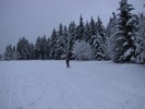 IMG_0538.JPG
