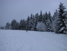 IMG_0549.JPG