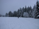 IMG_0550.JPG