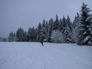 IMG_0551.JPG