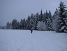 IMG_0552.JPG