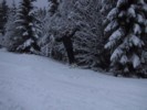 IMG_0623.JPG
