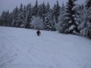 IMG_0633.JPG