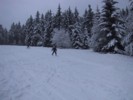IMG_0650.JPG